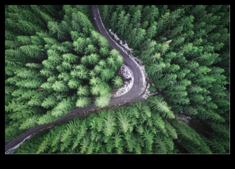 Fotografia cu drone O nouă perspectivă 2 Fotografie cu drone DIY: ridicați-vă perspectiva