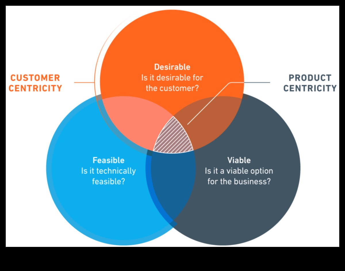 Inovație centrată pe client: proiectarea produselor și serviciilor pentru succes