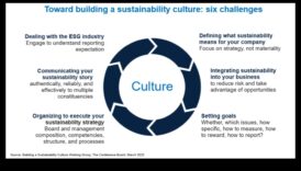 Strategii pentru etica susținută: înțelepciune în afaceri pentru lideri