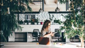 Îmbrățișează natura: încorporarea conceptelor de decorare biofile în casa ta