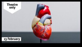 Minunății cardiovasculare: Dezvăluirea misterelor sănătății inimii