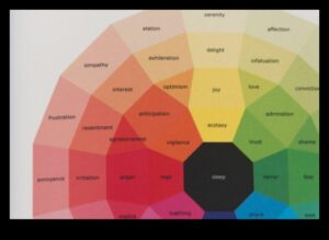 Creativitate colorată: puterea paletei în resursele de design