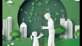 Cum să incorporezi elemente ecologice în decorul interior?